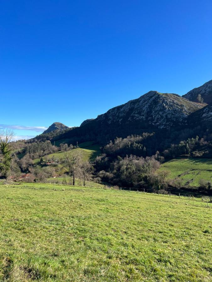 La Vierta Casa Rural Agroturismo リバデセリャ エクステリア 写真