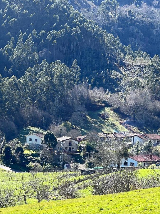 La Vierta Casa Rural Agroturismo リバデセリャ エクステリア 写真