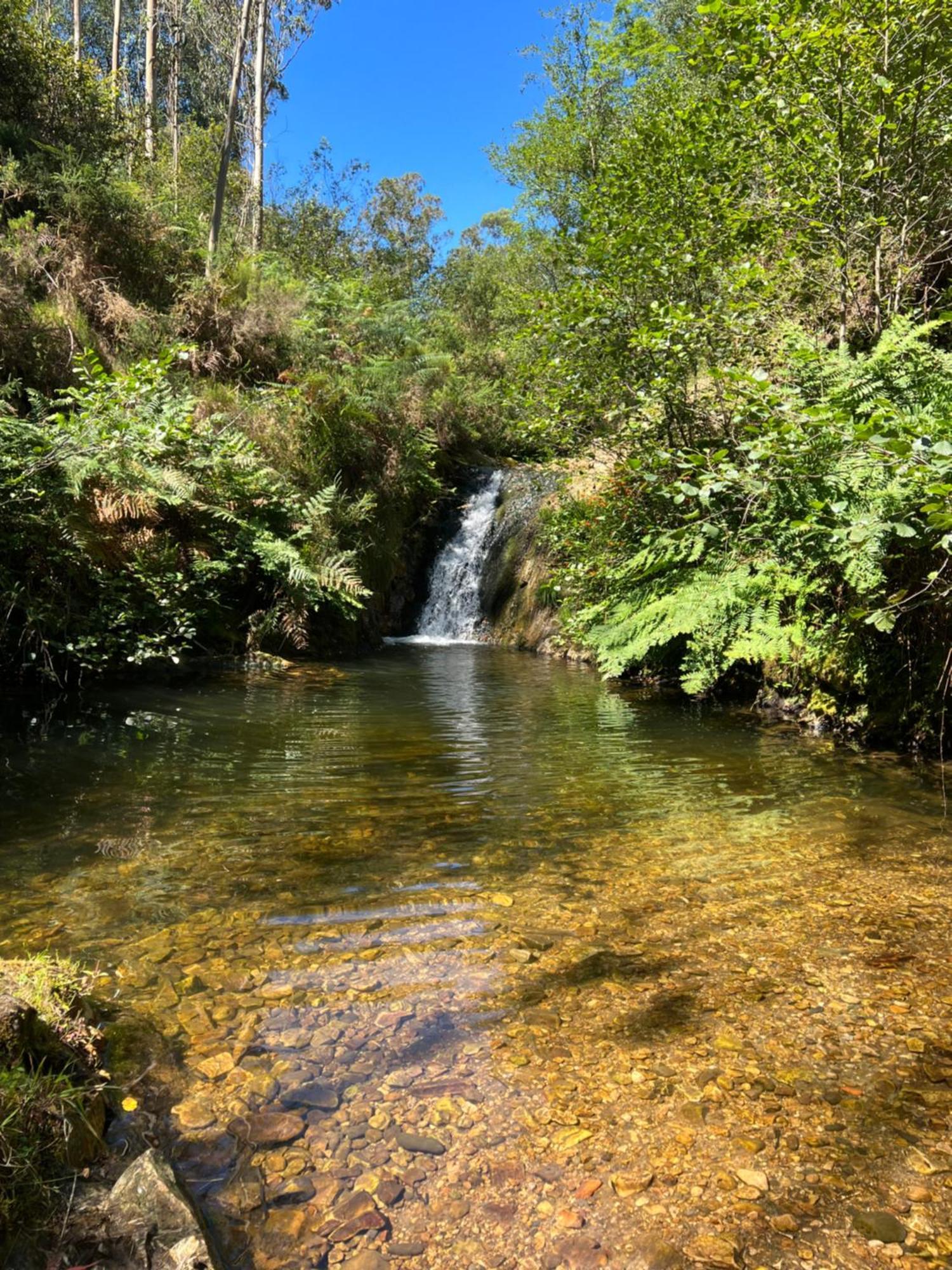 La Vierta Casa Rural Agroturismo リバデセリャ エクステリア 写真