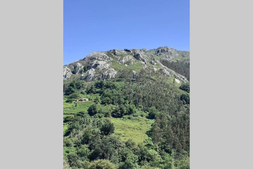 La Vierta Casa Rural Agroturismo リバデセリャ エクステリア 写真